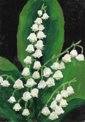 Lily of the Valley