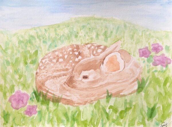 Deer in the Grass