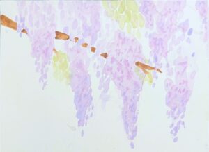 Wisteria